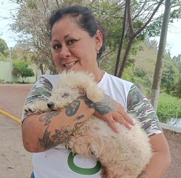 ¡“DINGO“ ANDUVO PERDIDO DOS AÑOS!