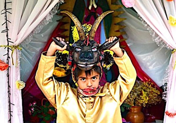 ¡CARNAVAL DE ALMOLONGA ES DE TODOS!