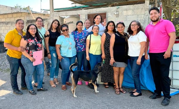 ¡SOS PARA 130 PERRITOS!