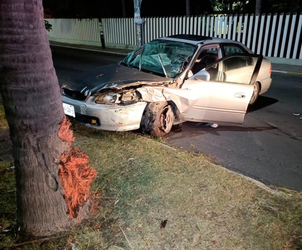 ¡SE IMPACTÓ CONTRA PALMERA FRENTE A PLAZA MOCAMBO!