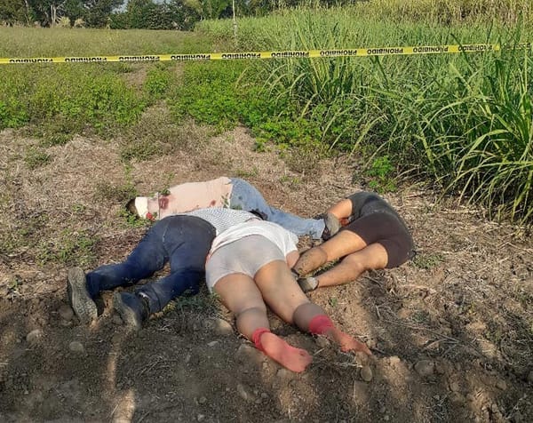 ¡EJECUTAN A TRABAJADORES DE CFE! - FUERON ‘LEVANTADOS’ EN TIERRA BLANCA Y APARECIERON MUERTOS EN OAXACA