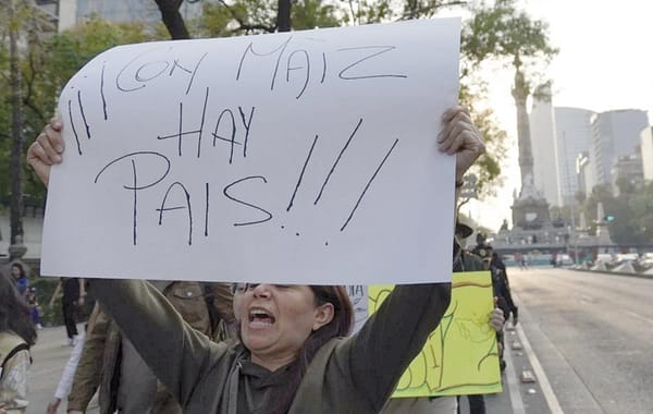 ¡RETIRAN PROHIBICIÓN PARA IMPORTAR MAÍZ TRANSGÉNICO! - POR RESOLUCIÓN DEL T-MEC