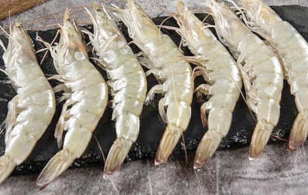 ¡“EL MUNDO TIENE UN GUSTO MÁS REFINADO”!