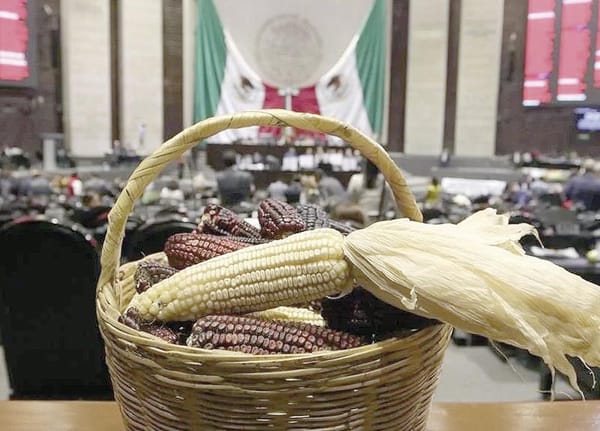 ¡LOS DIPUTADOS AVALAN REFORMA EN LO GENERAL PARA PROHIBIR SIEMBRA DE MAÍZ TRANSGÉNICO!