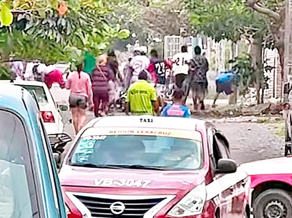 ¡BATALLA CAMPAL EN LAS AMAPOLAS!