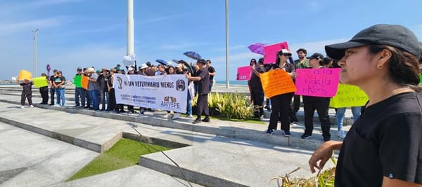 ¡MARCHAN MÉDICOS VETERINARIOS! - PIDEN JUSTICIA