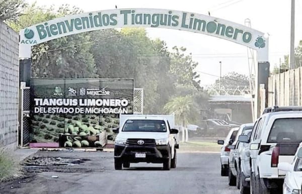 ¡BUSCA EL CRIMEN CONTROL DEL LIMÓN!