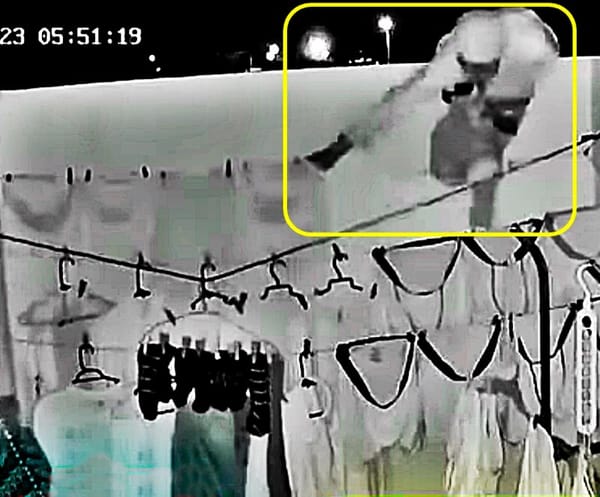 ¡GRABAN A ‘RATA’ ROBANDO LOS “CHONES” A VECINAS!