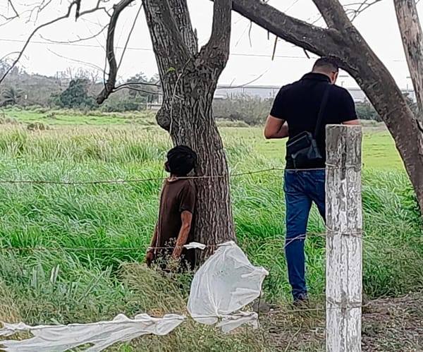 ¡LOCALIZAN HOMBRE AHORCADO EN LA CARRETERA XALAPA-VERACRUZ!