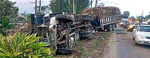 ¡PÁNICO POR TORTON CAÑERO SIN FRENOS!