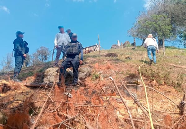 ¡DETENIDOS POR CORTAR MADERA!