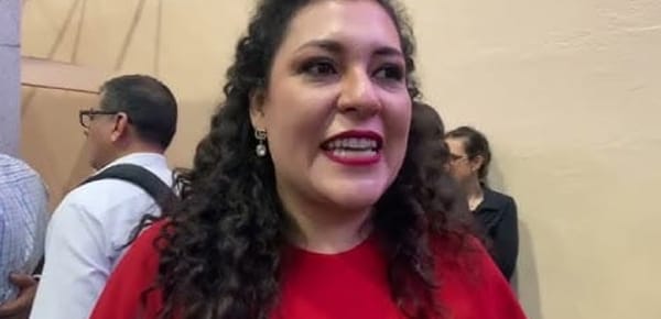 ¡QUE LES ENSEÑEN A USAR EL COCHINITO!