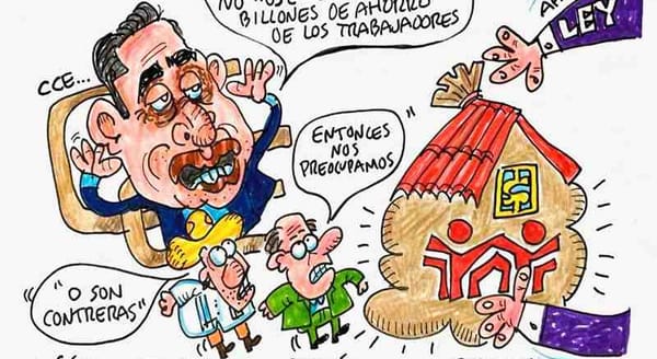 LOS CARTONES