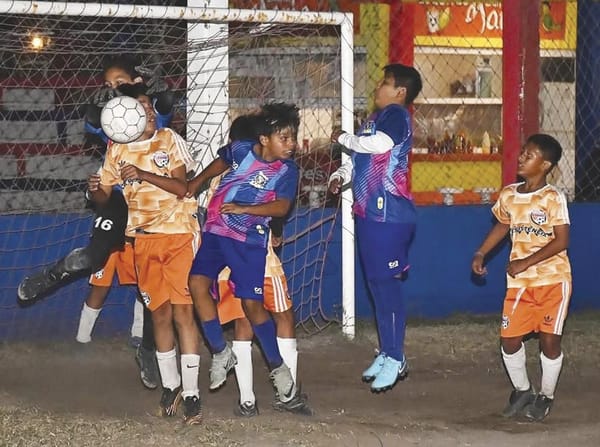 ¡AGARRÓN ENTRE TLACUACHES EN LA BICENTENARIO!