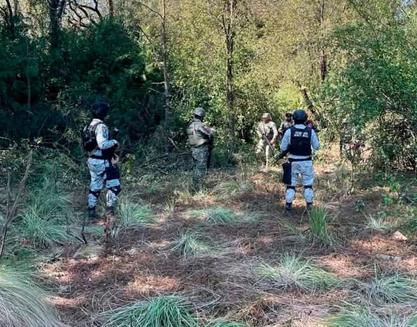 ¡PRIVAN DE LA LIBERTAD A PRODUCTOR DE CAFÉ EN ZENTLA!