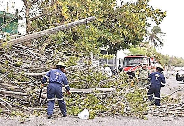 ¡VOLARON DESDE ÁRBOLES Y HASTA UN ROTOPLAS!