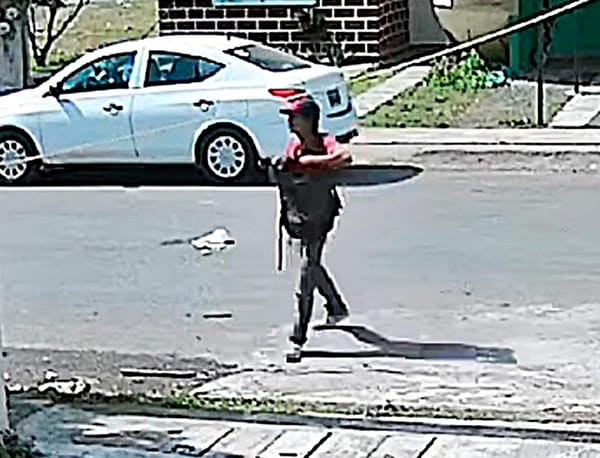 ¡GRABAN A ‘RATOTA’ SAQUEANDO UNA VIVIENDA EN LOMAS 4!