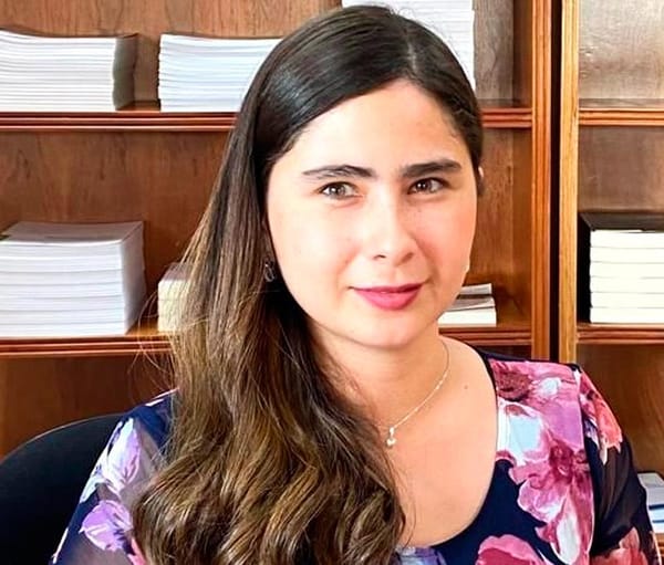 ¡QUIEREN CAMPAÑAS AUSTERAS!