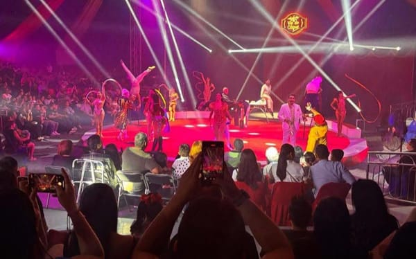 ¡SE CAE TRAPECISTA DEL VIE DE CIRQUE!