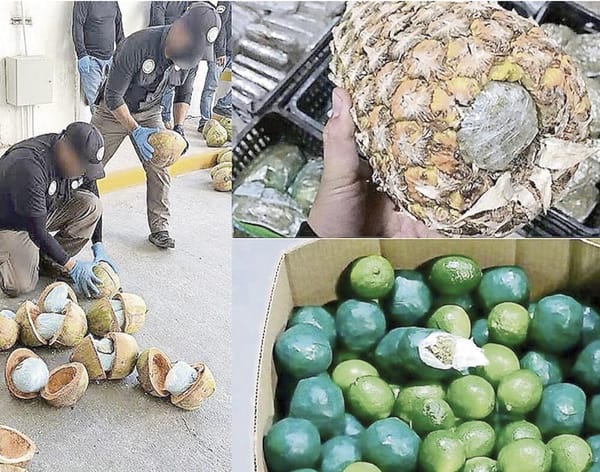 ¡DESCUBREN LAS MIL Y UNA MANERAS DE CAMUFLAR DROGA!