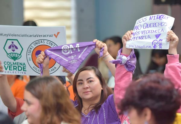 ¡NO ESTÁN SOLAS! - Y APRUEBAN LEY VICARIA