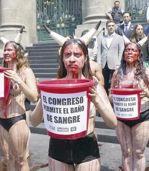 ¡ACTIVISTAS SE “BAÑAN EN SANGRE” EN PROTESTA CONTRA CORRIDAS DE TOROS!