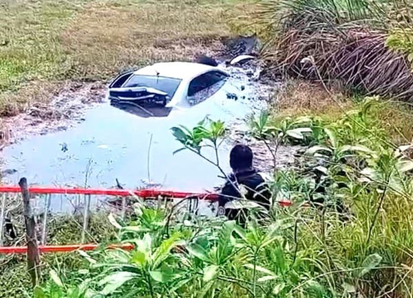 ¡AUTO COREANO VOLÓ Y ATERRIZÓ EN EL FONDO DE PANTANO!