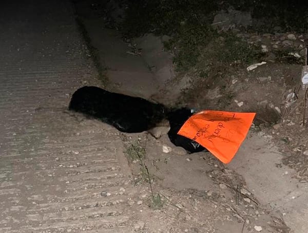 ¡LOCALIZAN CUERPO EMBOLSADO EN CARRILLO PUERTO!