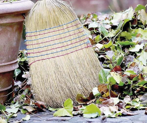 ¡MULTAN POR NO BARRER LA BANQUETA!