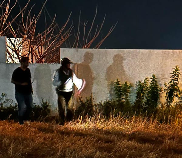 ¡PRENDEN ALARMAS EN PUNTA TIBURÓN!