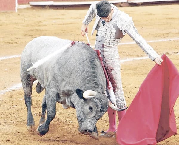 ¡QUITAN FRENO A VOTACIÓN DE PROHIBICIÓN DE TAUROMAQUIA!