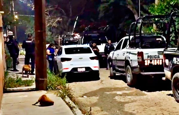 ¡ABUELITO MUERE APLASTADO POR ÁRBOL!