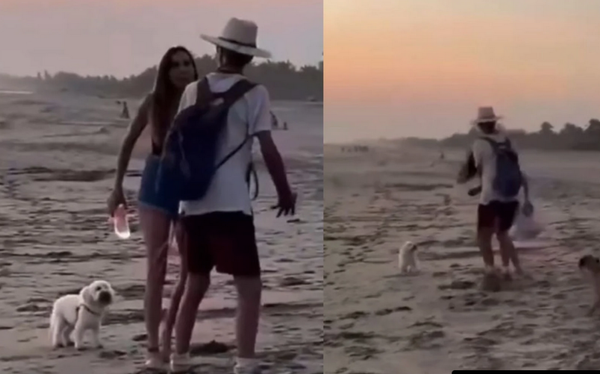 ¡TURISTA EXTRANJERA AGREDE A UN PERRO Y A UN JOVEN EN PLAYA DE OAXACA!