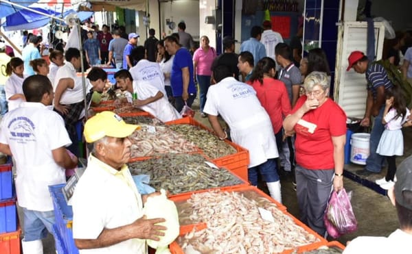 ¡HASTA LOS PESCADOS ANDAN EN LA QUINTA GALAXIA!