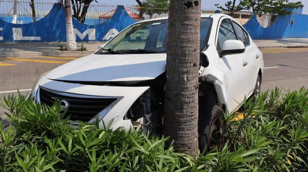 ¡SE ESTRELLA CONTRA PALMERA EN EL BULE! -  EN VILLA DEL MAR