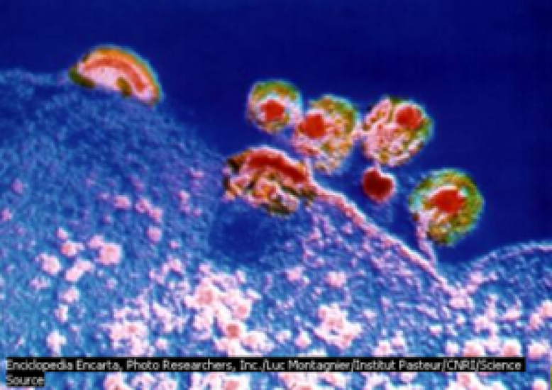 ¡ALERTAN A LA CHAVIZA CON EL VIH!