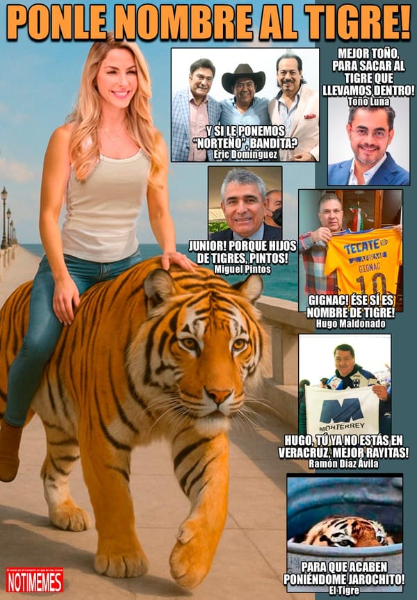 NOTI-MEME | - PONLE NOMBRE AL TIGRE!