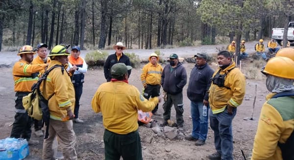 ¡SE INCENDIA EL COFRE DE PEROTE! - Y LE ECHAN AGUA POR TODOS LADOS