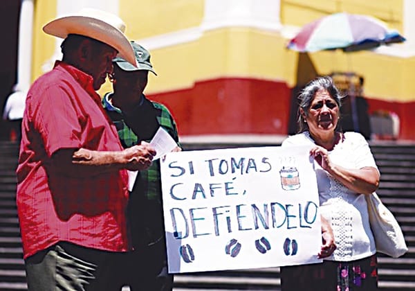 ¡TRANSNACIONALES QUIEREN QUE LOS PRODUCTORES DE CAFÉ PAGUEN COSTO DE ARANCELES EN EU!