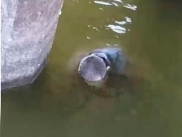 ¡ENCUENTRAN CADÁVER FLOTANDO EN LA LAGUNA DE CATEMACO!