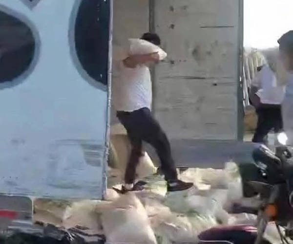 ¡LO PARTE EL TREN! - Y RAPIÑA