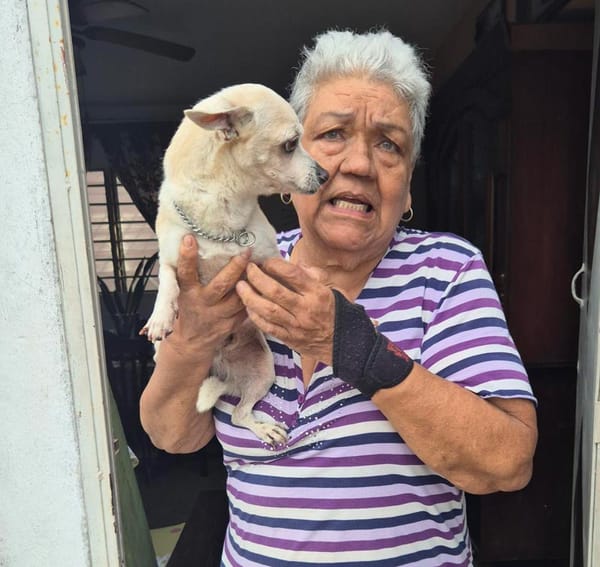 ¡REGRESARON A “BUDÍN”!