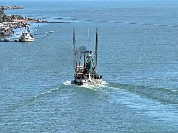 ¡APAGÓN EN ALVARADO!