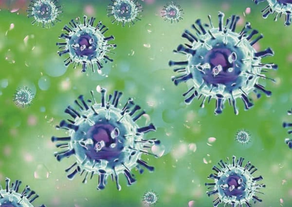 ¡ACTIVAN PROTOCOLO SANITARIO POR LA PRESENCIA DE INFLUENZA AVIAR!