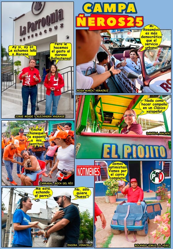 NOTI-MEME | - CAMPAÑEROS 25