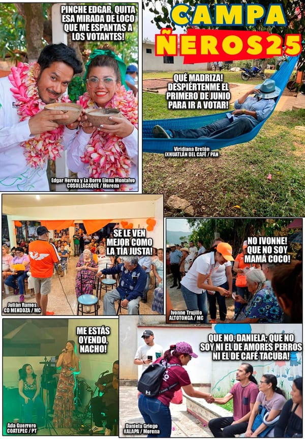 NOTI-MEME | - CAMPAÑEROS 25