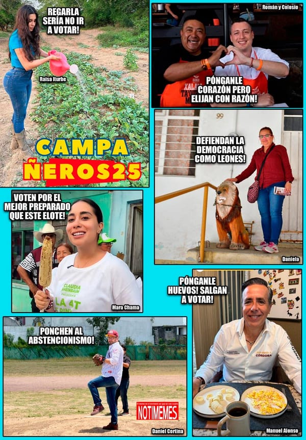 NOTI-MEME | - CAMPAÑEROS 25