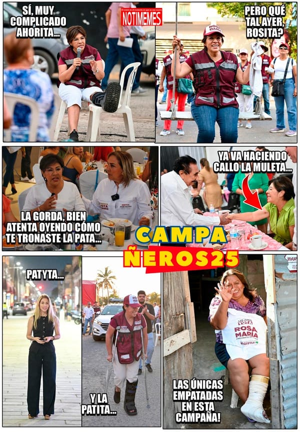 NOTI-MEME | - CAMPAÑEROS 25