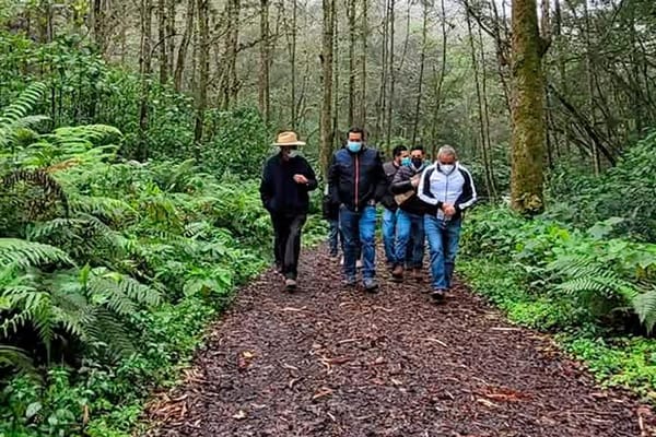¡CAMINOS A SUS CASOTAS!