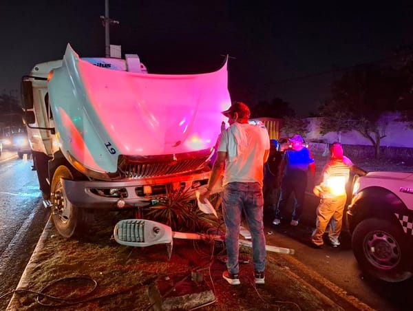 ¡CAMIÓN DE LA BASURA SE QUEDÓ SIN FRENOS Y CHOCÓ CON LUMINARIA!